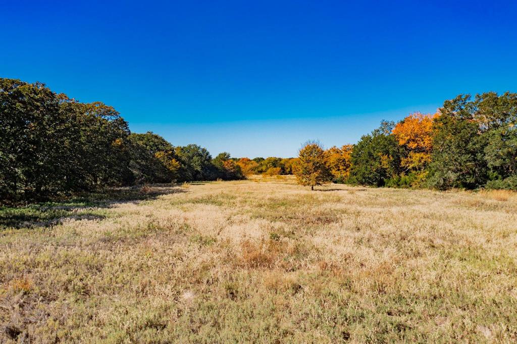 Estates of Shady Oaks Ph 1 - Land