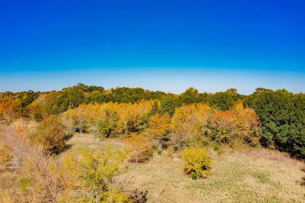 Estates of Shady Oaks Ph 1 - Land