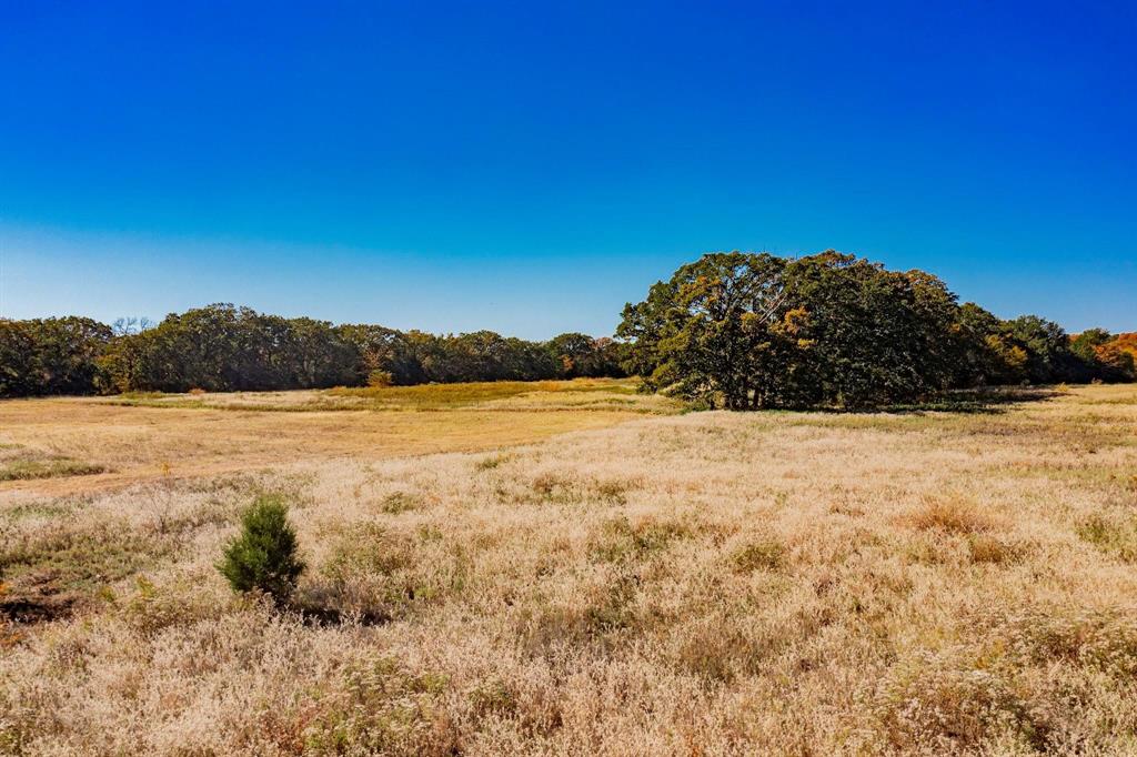 Estates of Shady Oaks Ph 1 - Land