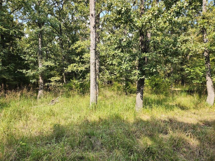 Beautiful wooded lot at Lake Tawakoni. Almost half an area! Located in an established lake front subdivision. Site Built only homes, no vacation rentals allowed. Boat Ramp in subdivision. Co-op water and electric in subdivision. Septic tank required. All information is approx, buyer and buyers agent to verify.