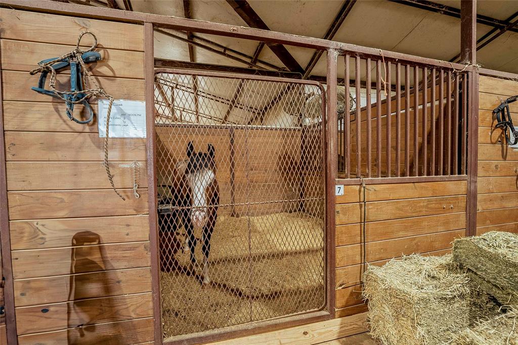 (RANCH) HORSE RANCHES IN COUNTY - Farm