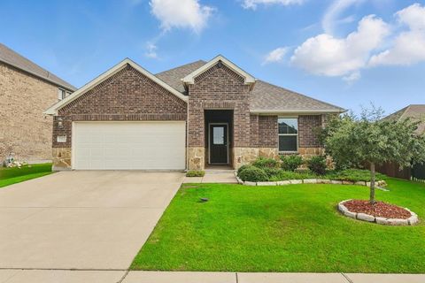 787 Cascade Lane Princeton TX 75407