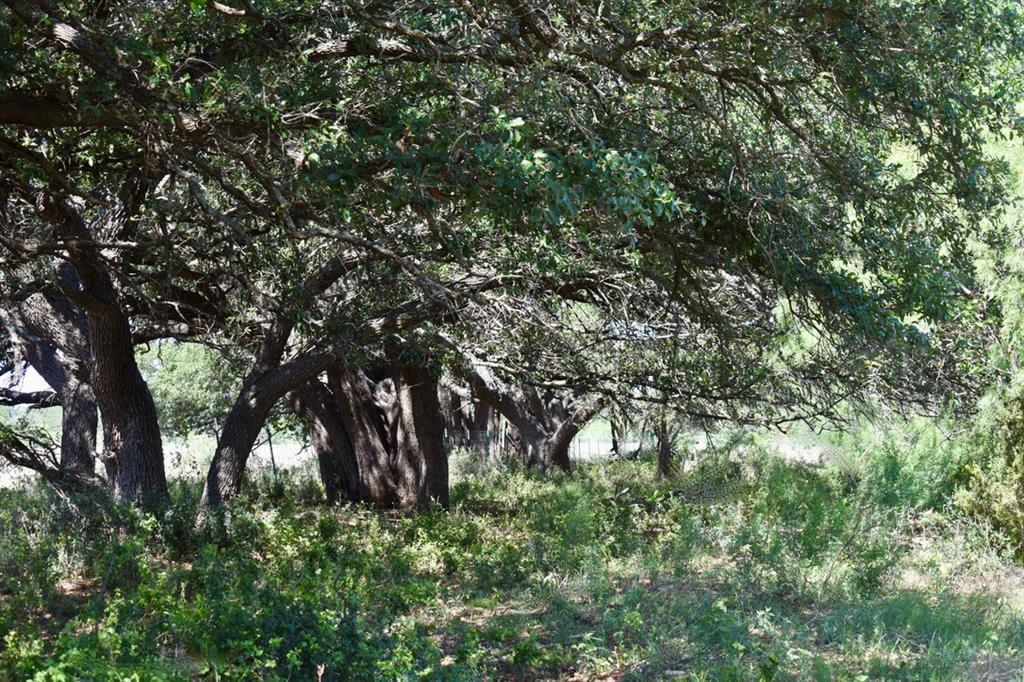 Beebe W P - Residential