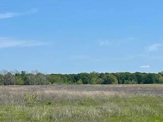 T EDMONDSON ABST - Land