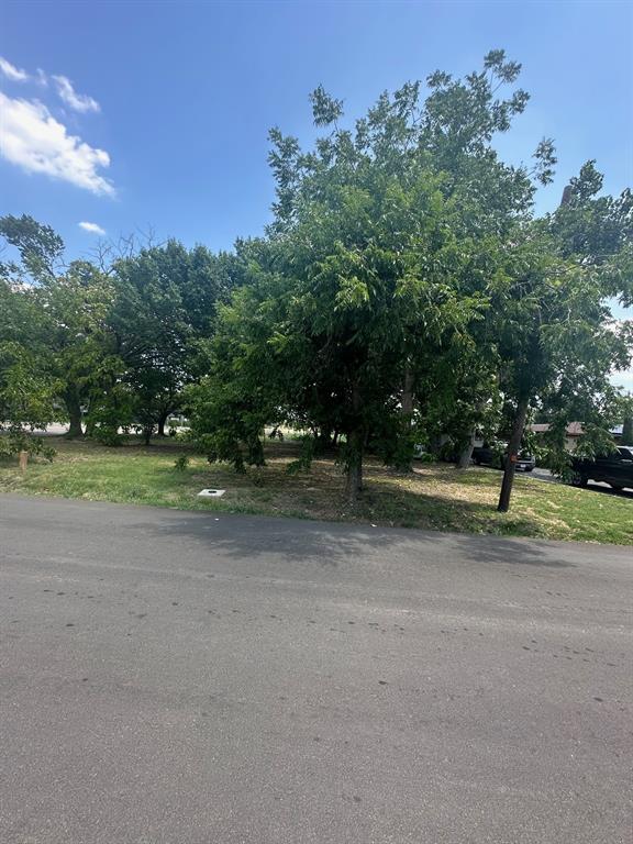 Elkins Forrest - Land