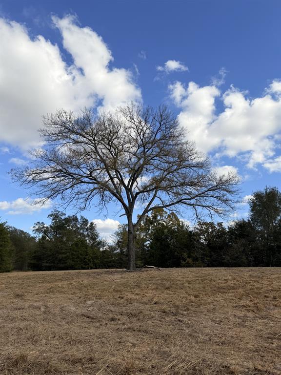 Lot #7 TBD RS County Road 1150