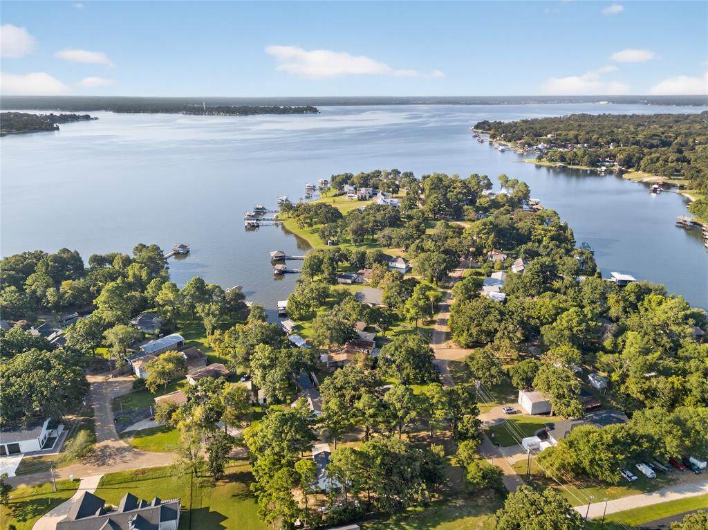 203 Bushwhacker Drive