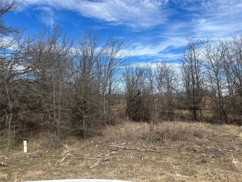 TBD Sleepy Meadow Drive Bridgeport TX 76426