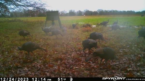 Bryan Co Unplatted - Residential