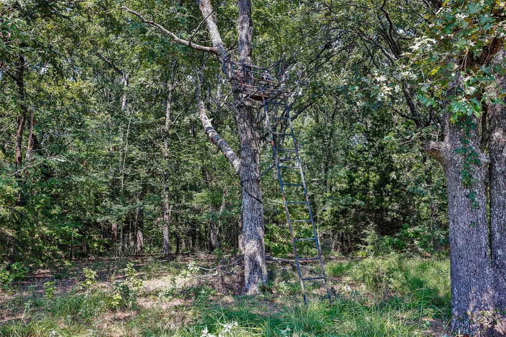 Bryan Co Unplatted - Residential