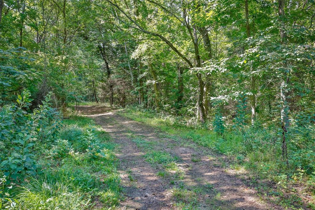 Bryan Co Unplatted - Residential