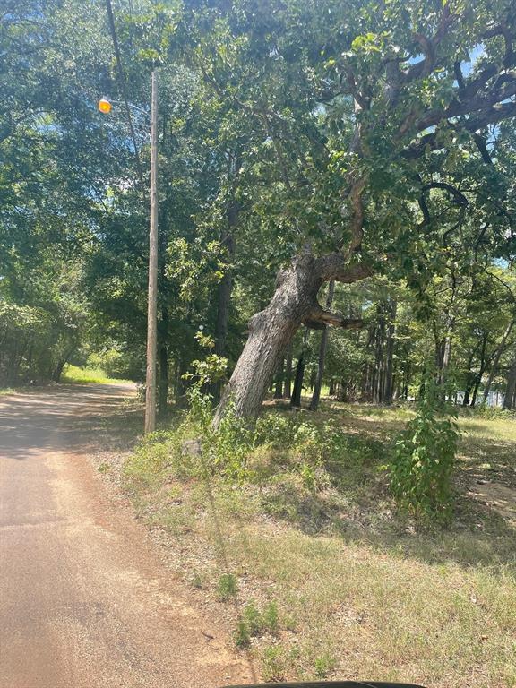 LOT 7 Brown Street
