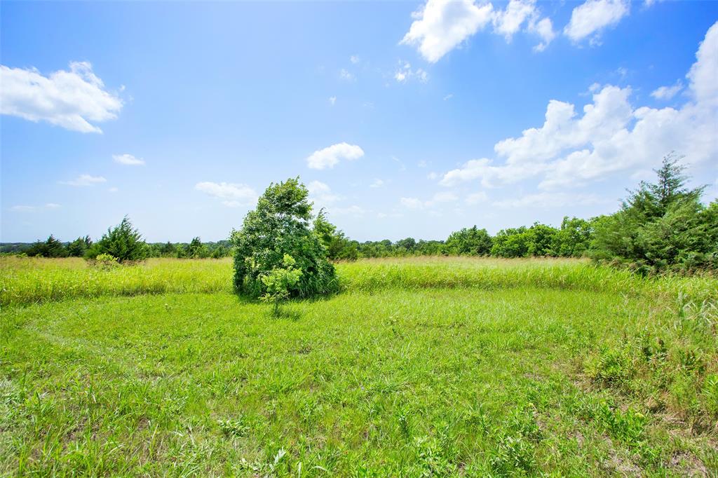 491 Morrison Road