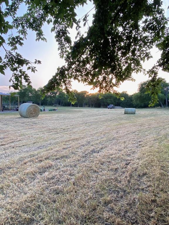 12393 Chisum Road