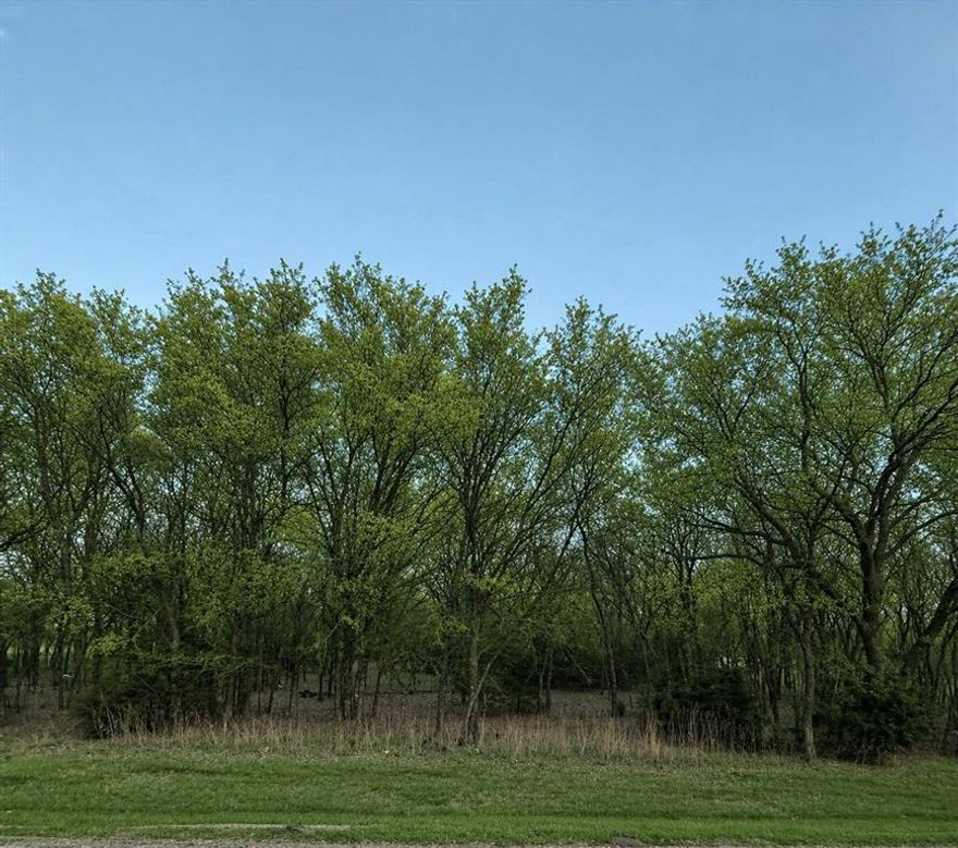 Rare opportunity to build your dream home on a spacious corner lot in the highly sought-after Aledo ISD. This beautiful 0.809-acre property in Pyramid Acres is nestled in a serene, treed setting, offering a perfect blend of privacy and open space. Surrounded by mature trees and located within a growing community, the lot provides a picturesque natural backdrop for your custom build. With no HOA restrictions, you have the freedom to design and create a home tailored to your vision and lifestyle. Ideally situated just minutes from shopping, dining, and everyday conveniences, this property offers peaceful country living with easy access to city amenities.