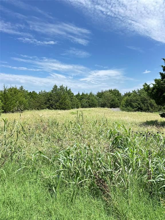 5925 County Road 441