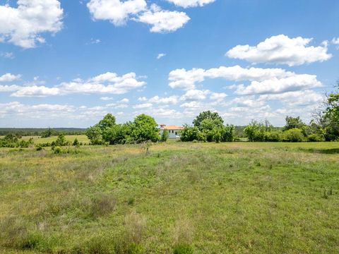Tiny photo for 8869 County Road 1617, Avinger, TX 75630 (MLS # 21310637)