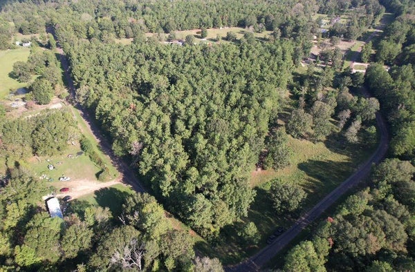 ADDRESS PRIVATE, JOAQUIN, TX 75954 - Image 920c0dc0cff6e5e010bbfda89da8321b/4067068481