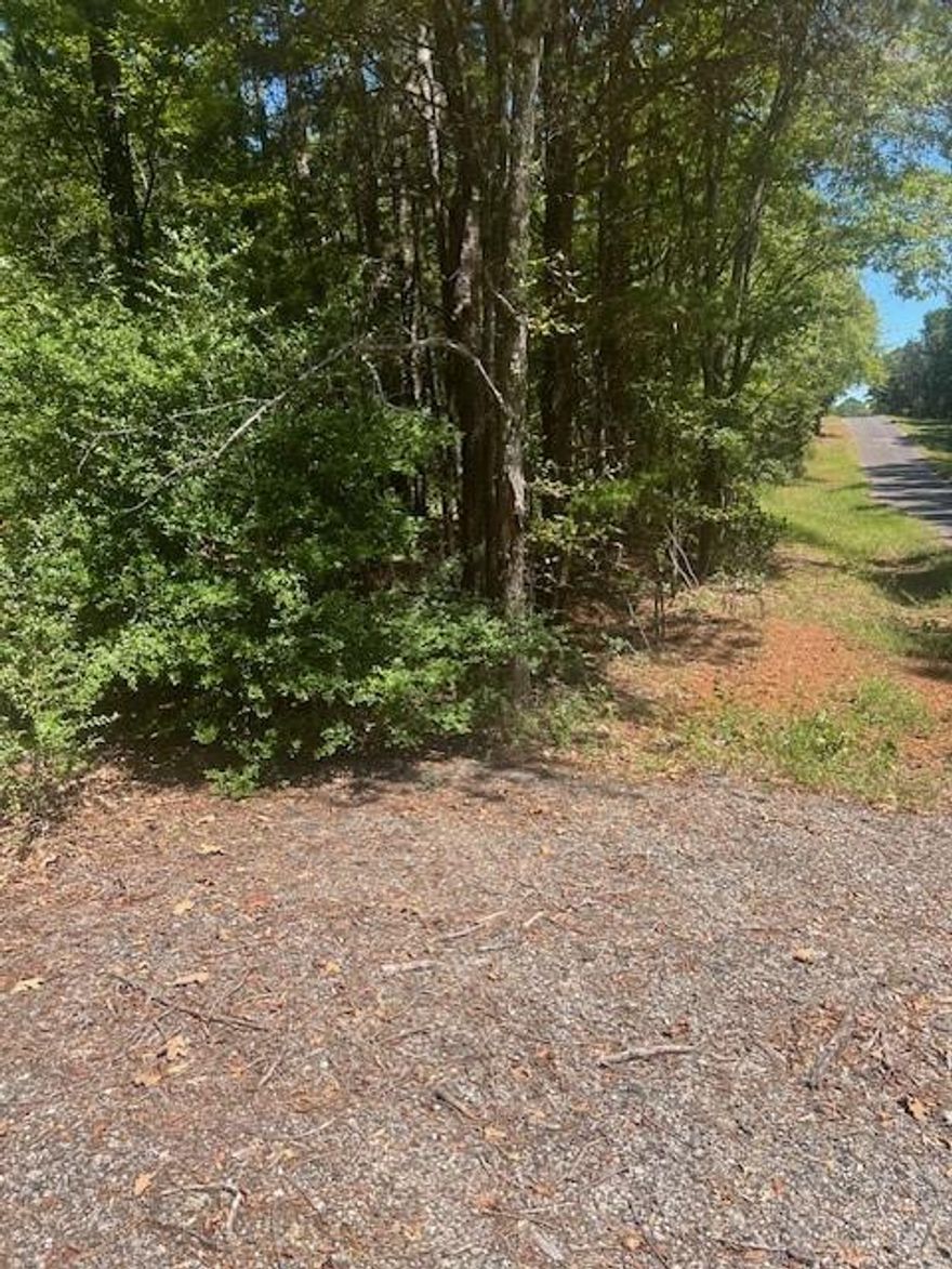 Unimproved 5-acre Tract that is highly sought after. Property is approximately 242 ft. frontage and 900 ft. deep   Great opportunity to build your dream home or a weekend getaway. This parcel has lush landscaping with hardwood trees. Power poles nearby.  Drive by and give feedback to agent if interested.