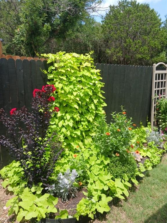 Comanche Cove - Residential