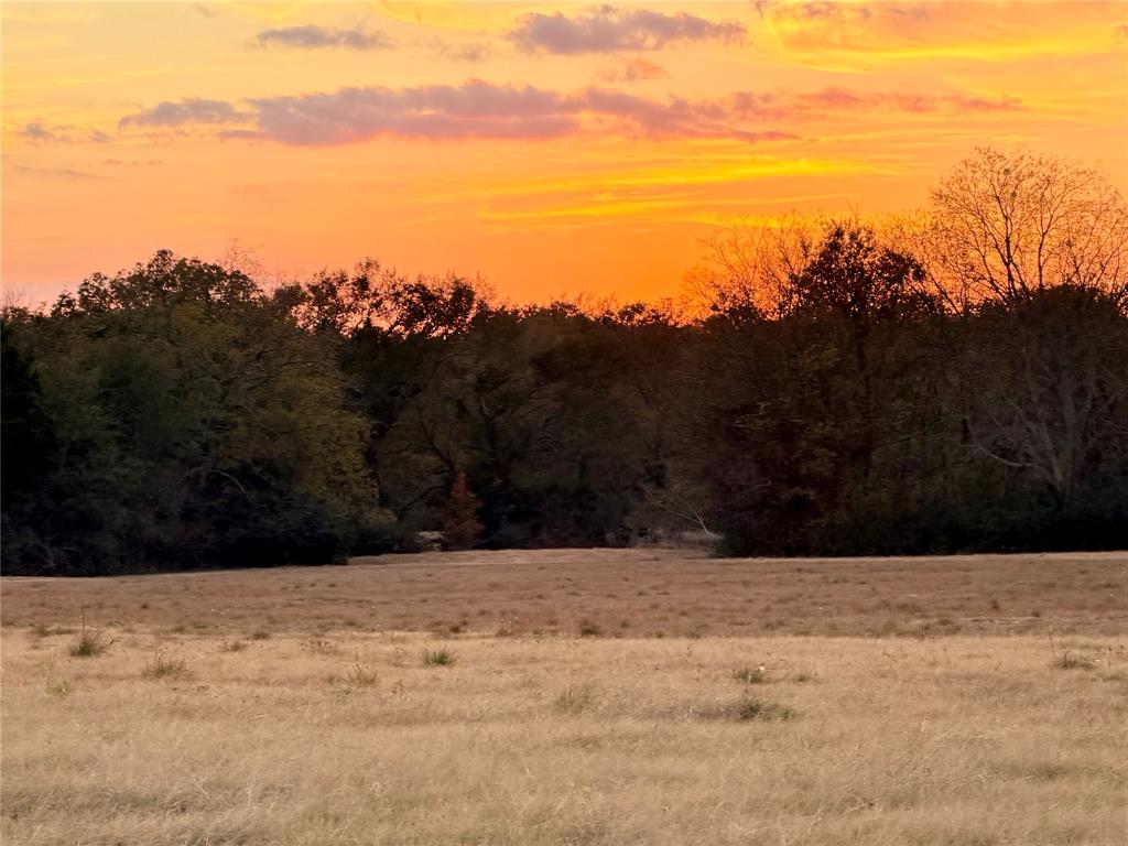 TBD State Highway 19 Highway Lot 4