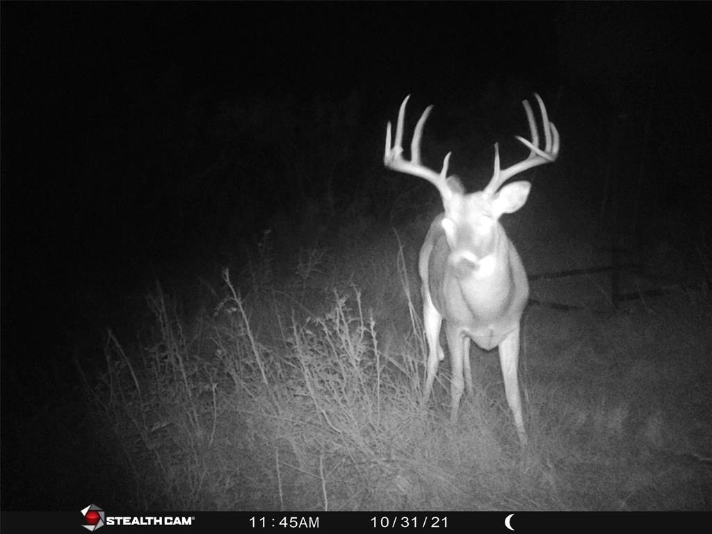 Bellevue Estates - Land