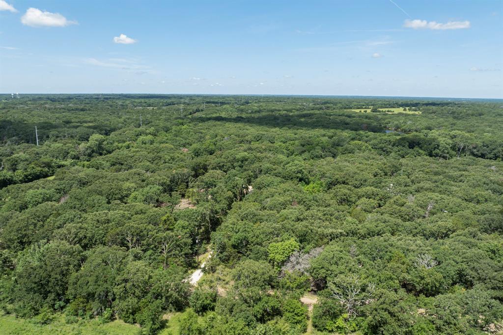 R Mead Surv Abs #325 - Land