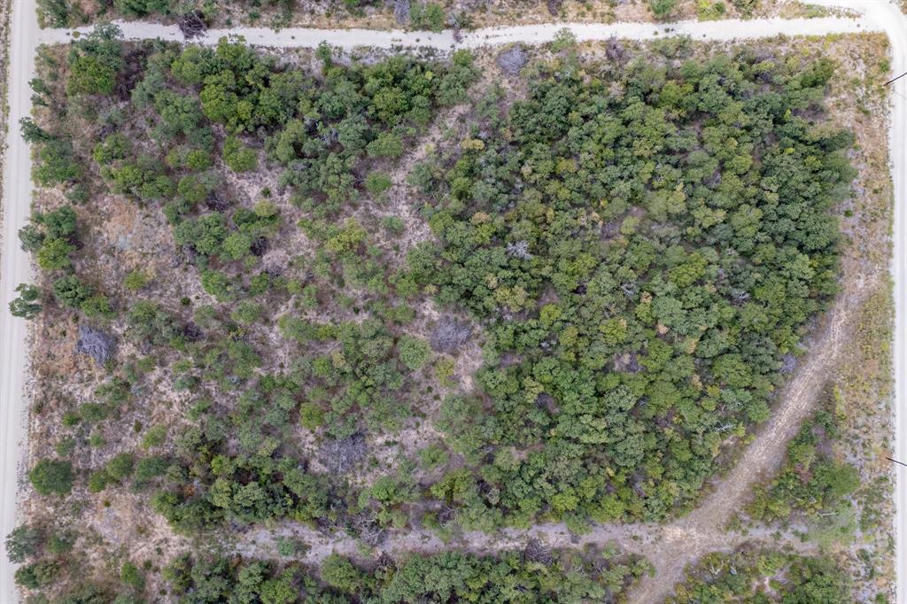 Comanche Oaks - Land