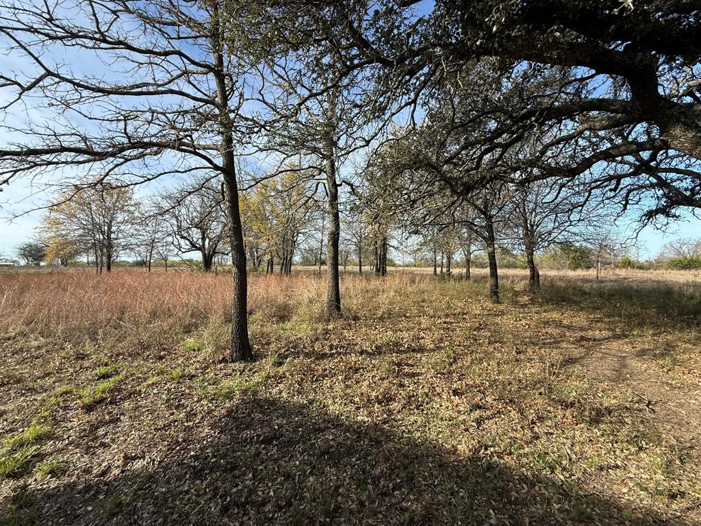 1128 Mambrino Highway