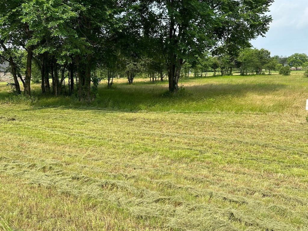 2421 S FM 131
