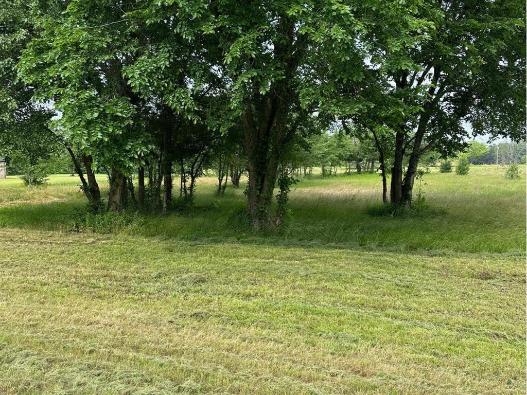 2421 S FM 131