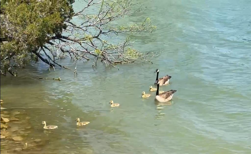 Pk Lake - Residential