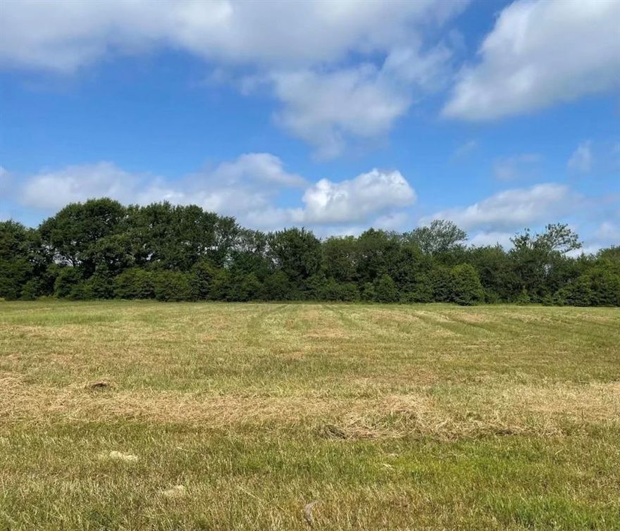 This property offers the freedom of living outside of the city limits, while still enjoying a quick commute into town & easy access to I-20 & Hwy 80. Plus, you'll have the added convenience of access to CITY water and easy access to electricity. Whether you're looking to build a traditional site-built home or a unique barndominium or tiny home, this property has you covered. The seller is also offering lot 1-5 and 7-9 (LOT 3 SOLD) and is open to selling as whole or individual lots, providing you with flexibility and options when it comes to building your dream home. The property features a combination of pasture & trees, offering both space and privacy. NO HOA restrictions & animal-friendly, you can enjoy a relaxed country lifestyle while still being close to all the amenities you need. Whether you're looking to escape the hustle and bustle of city life or simply want more space to spread out, this property is a must-see. Schedule to view today & start envisioning the possibilities!