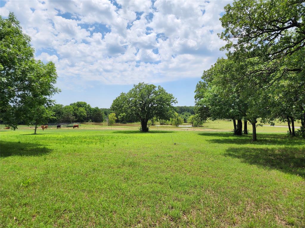 662 County Road 113