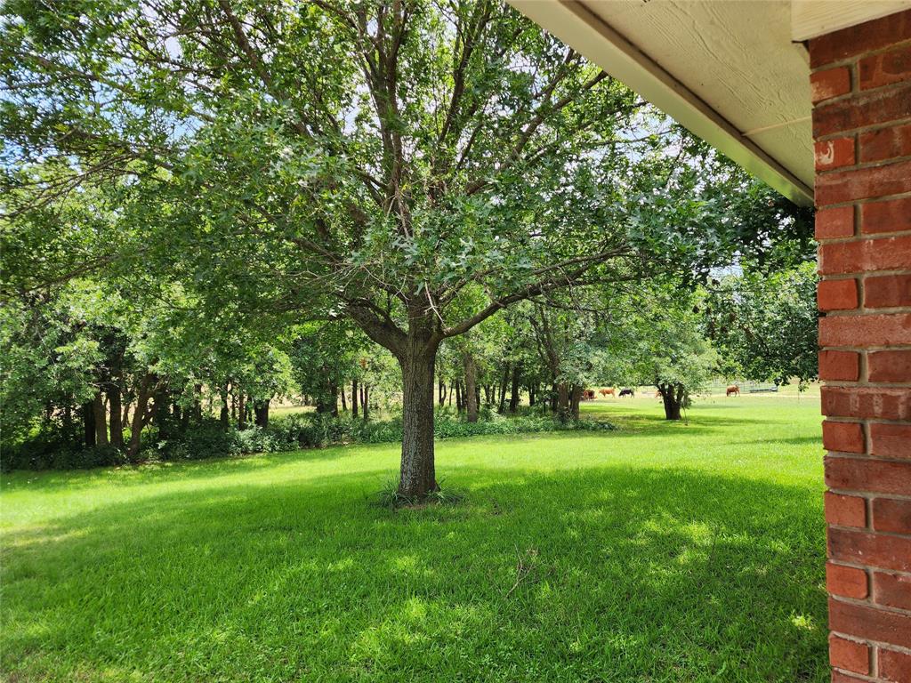 662 County Road 113