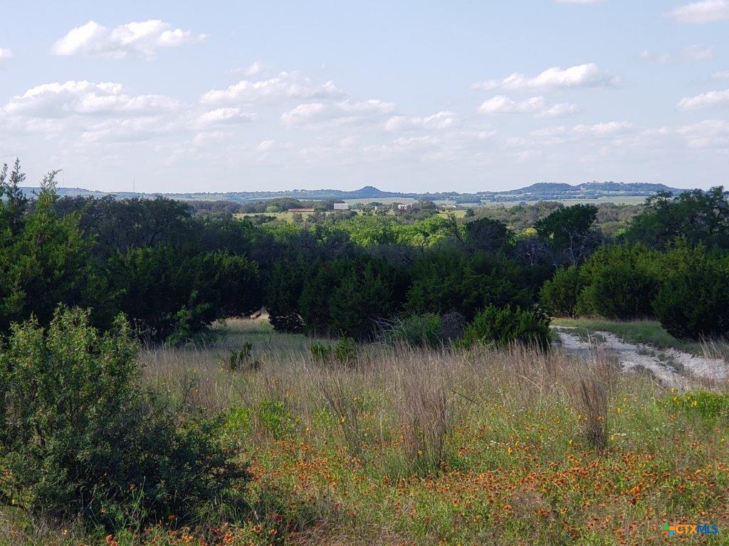 Lot 4 County Road 1255
