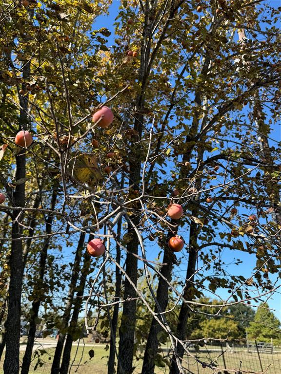 Country Aire Acres - Residential