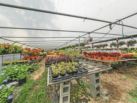 Tiny photo for 2499 Union Church Road, Southlake, TX 76092 (MLS # 20931700)