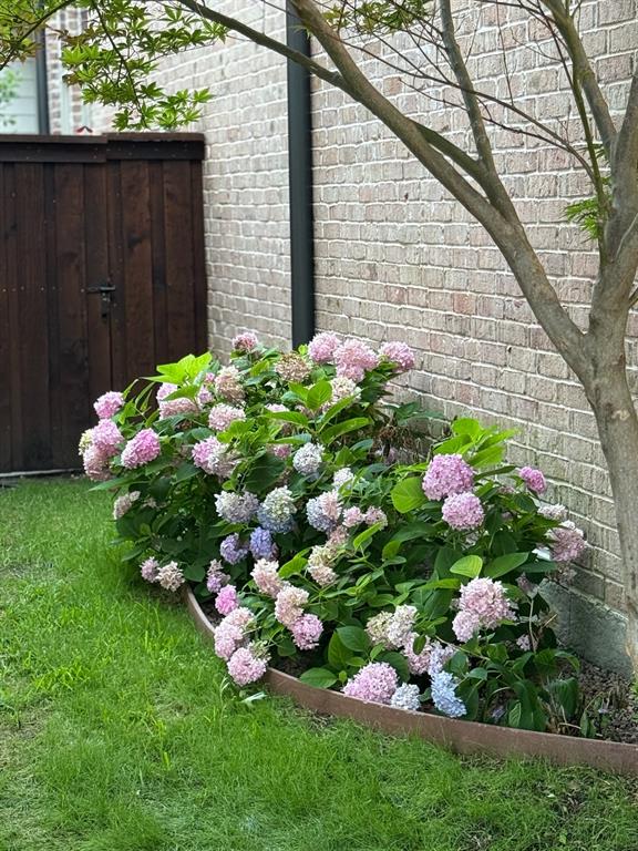 Idlewild Acres - Residential