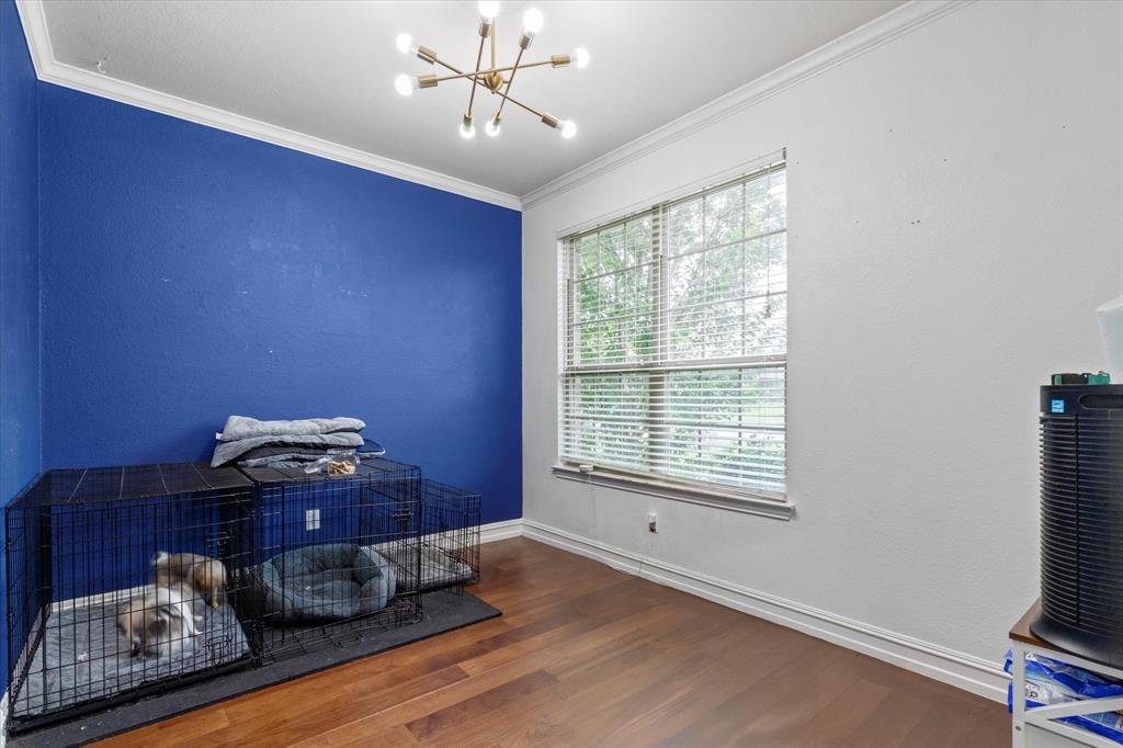 1031 Enchanted Rock Drive