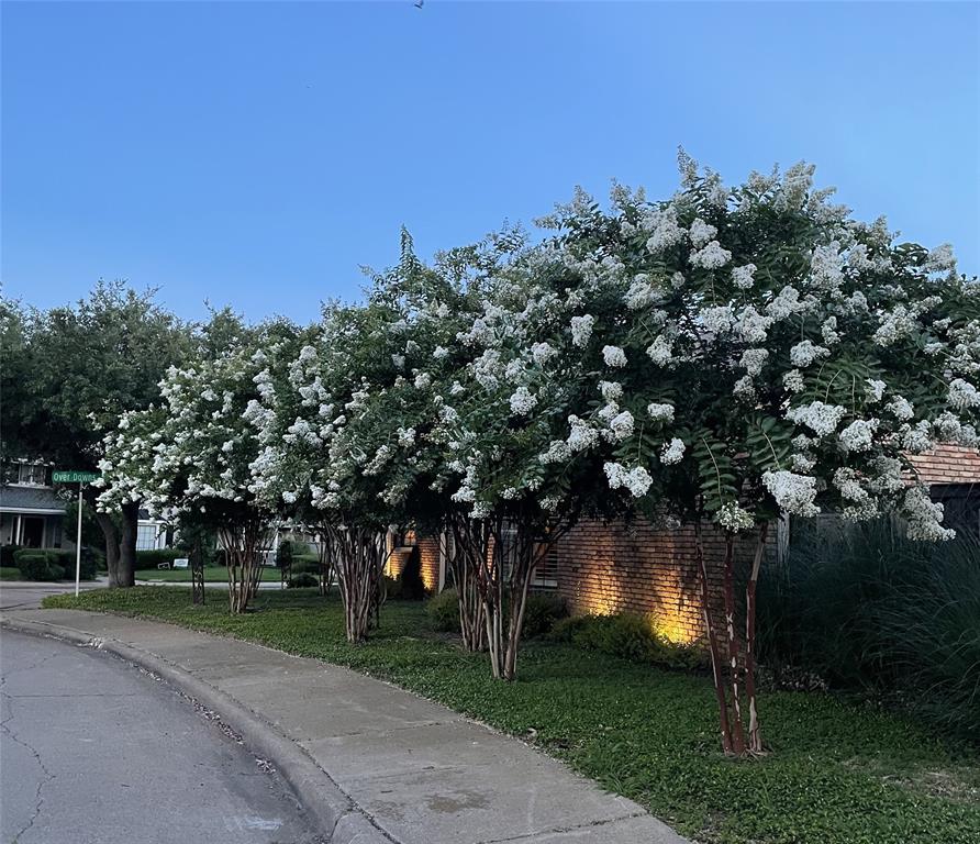 Park Preston Sec 01 - Residential