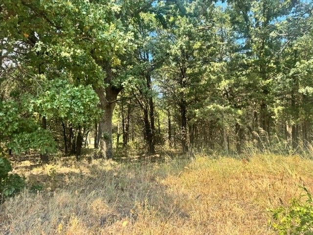 TBD Pine Hills Lane