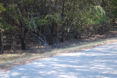 Photo of 17157 Woodway Drive, Whitney, TX 76692 (MLS # 21419627)