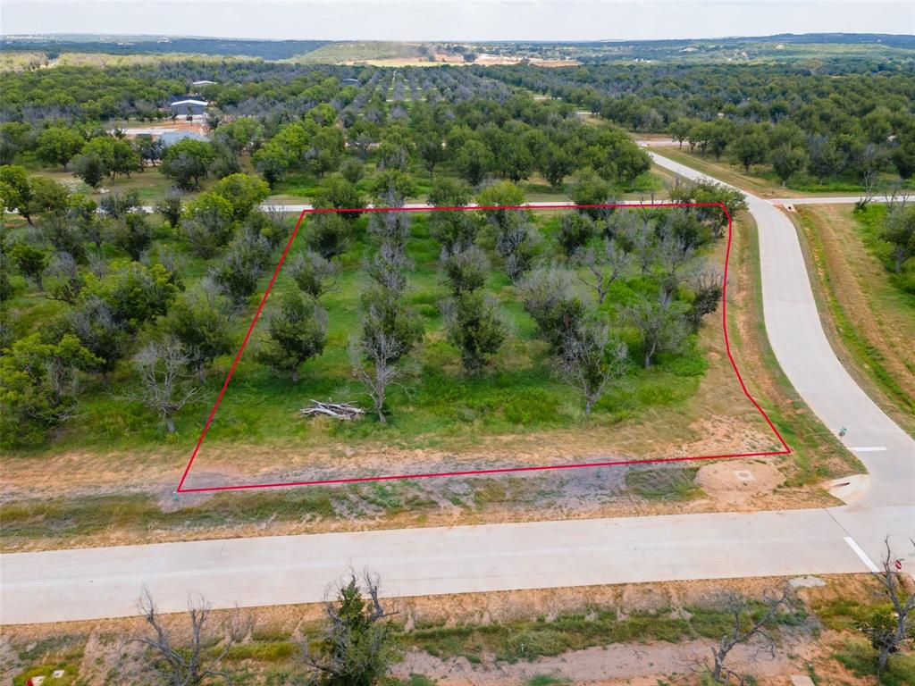 Pecan Plantation - Land