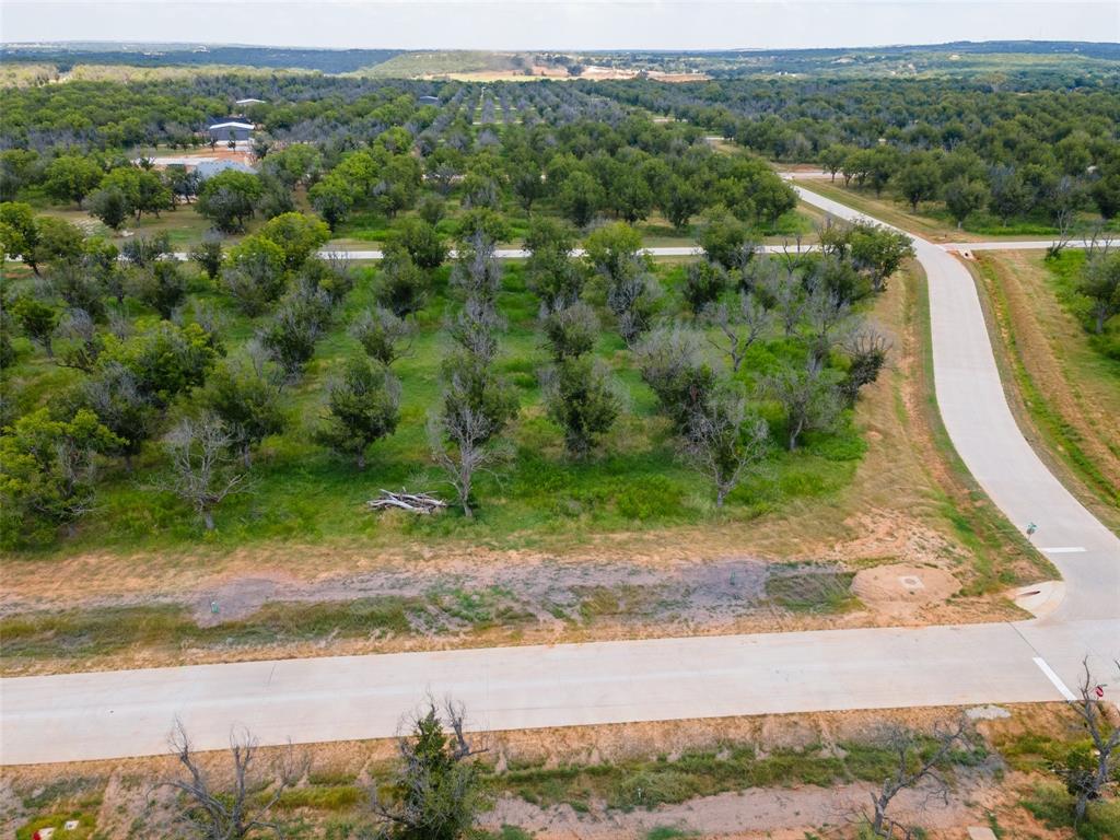 Pecan Plantation - Land