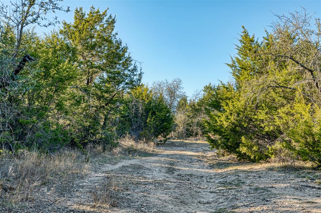 Cherylton Ridge - Farm