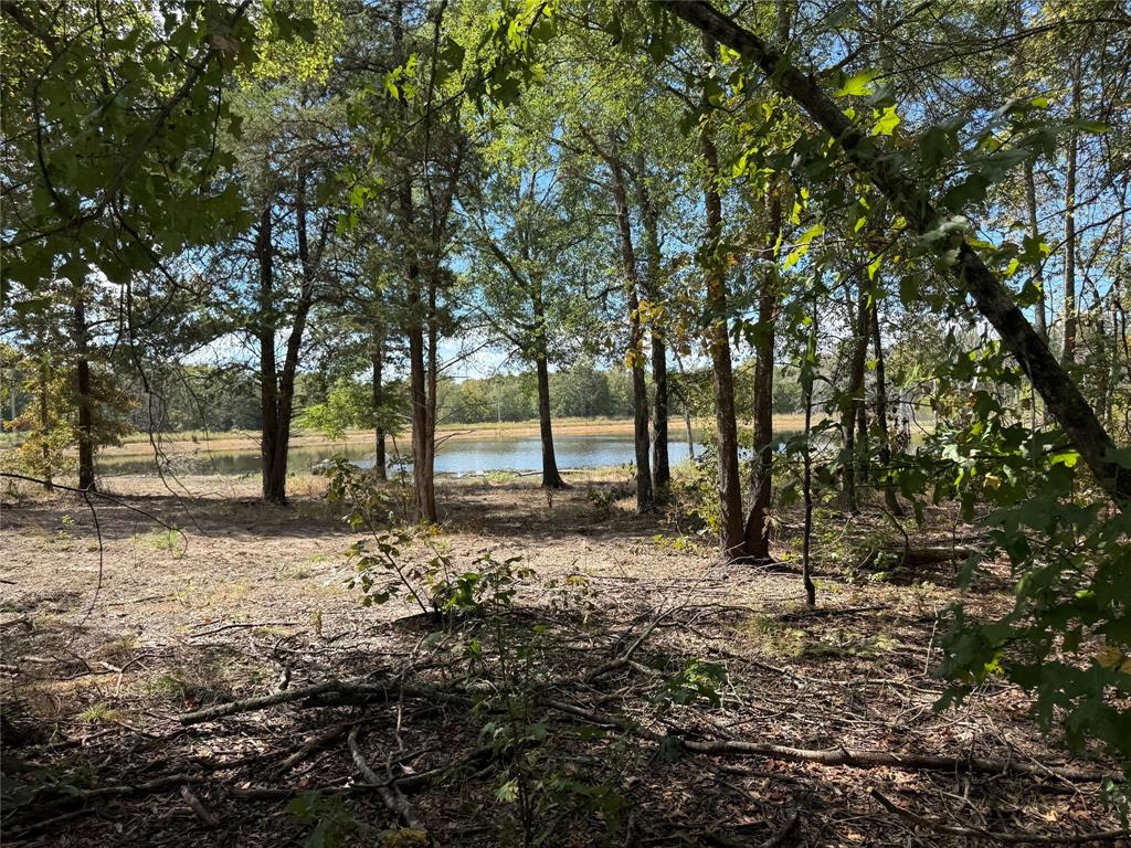 TBD 100+/- Acres SH 154