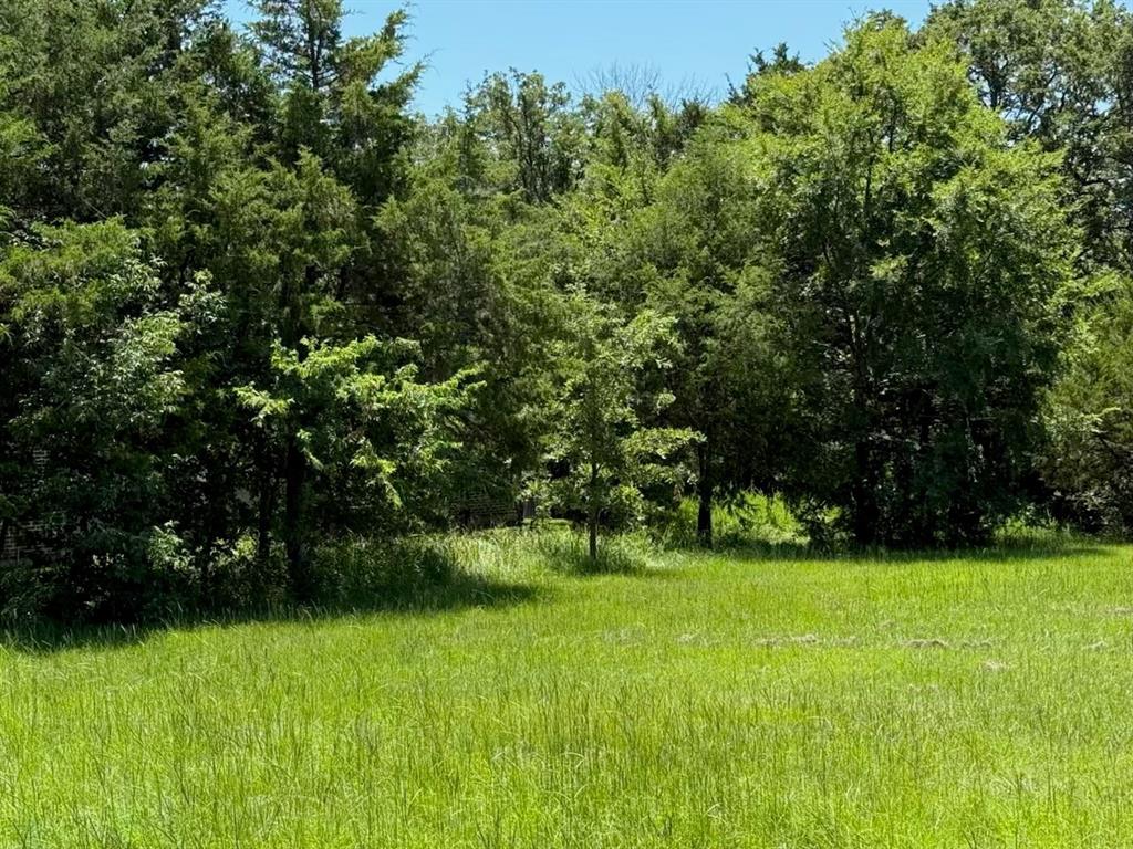 52 Coyote Creek Drive