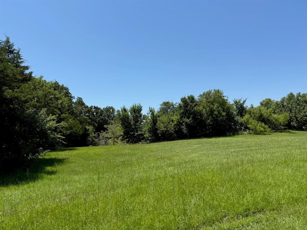 52 Coyote Creek Drive