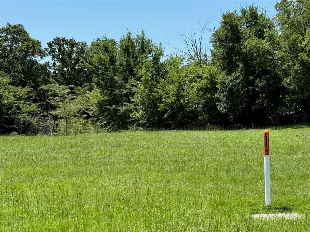 52 Coyote Creek Drive